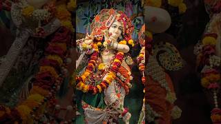 Shri Krishna Bhakti Songs l Suno Krishna Pyaare Swati Mishra Song l Krishna Bhajans In Temples Vlogs [upl. by Woothen]