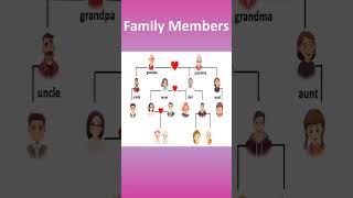 English vocabulary family members family tree shortvideo [upl. by Tripp]