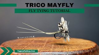 The Trico Mayfly [upl. by Adnek]