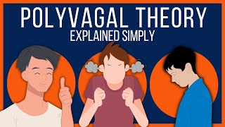 Polyvagal Theory Explained Simply [upl. by Gwyn]