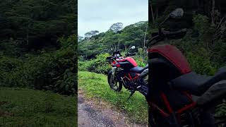 BMW G310GS bmwg310gs trivandrum forest [upl. by Htebazile267]