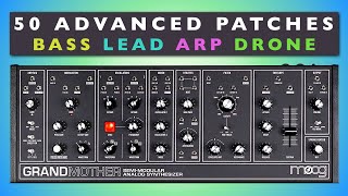 Moog Grandmother Modular Experimental Patches Sound Demo [upl. by Mharba]