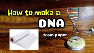 How To Make A DNA Model from paper dna [upl. by Addis]