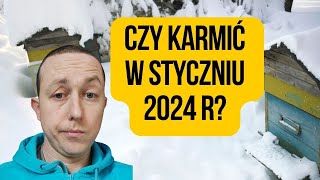 Czy dokarmiać pszczoły w styczniu 2024 [upl. by Rizzi674]