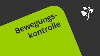 Prozess der Bewegungskontrolle  Biologie  Neurobiologie und Verhalten [upl. by Miner]