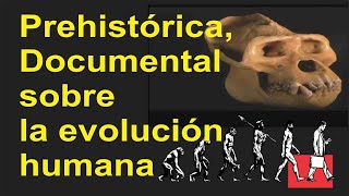 Prehistórica Documental sobre la evolución humana [upl. by Anelhtac]