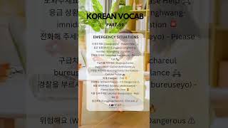 Korean Vocab Part 59  Emergency Situations  koreanproficiency koreanwords korea travelkorea [upl. by Atinav]