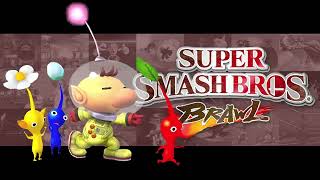 Environmental Noises  Super Smash Bros Brawl Music [upl. by Gadmann372]