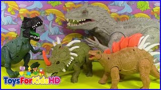 Videos de dinosaurios para niños Styracosaurus juguetes de dinosaurios ToysForKidsHD [upl. by Heddi]