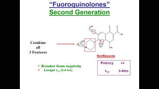 Quinolones 2024 [upl. by Sethi749]