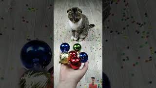 ASMR Ball Reverse shorts asmr [upl. by Nairdna61]