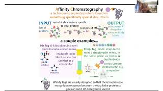 Streptag affinity chromatography protein purification  theory amp practice [upl. by Nailimixam345]