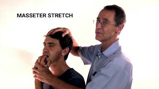 How to Stretch the Masseter Muscle  Trigger Point Therapy [upl. by Monahon]