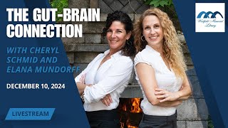 The GutBrain Connection with Cheryl Schmid and Elana Mundorff [upl. by Gardner]