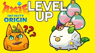 Upgrade Axie TOP 1  Axie Infinity Origin meta team Leaderboard [upl. by Adoh]