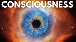 The Greatest Scientific Theories On Consciousness You Need to Know [upl. by Nnire591]