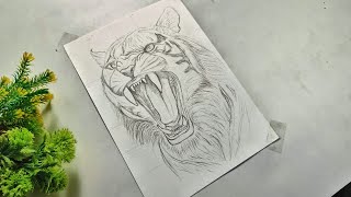 How to draw Tiger Tiger Drawing Pencil Drawing Part 1 sukanta art [upl. by Runstadler]