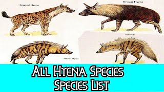 All Hyena Species  Species List [upl. by Hendrickson]