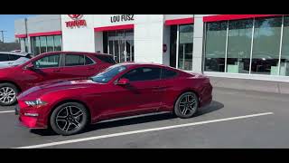 Alexia’s 2019 Ford Mustang Power Style amp Pure Muscle [upl. by Kristoffer618]