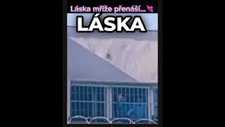 LÁSKA MŘÍŽE PŘENÁŠÍ [upl. by Aehtrod]