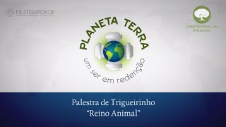 Trigueirinho  Planeta Terra um ser em redenção 4 quotO Reino Animalquot [upl. by Nauqahs]