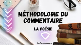 Comment faire le commentaire dun texte poétique [upl. by Ajiram796]