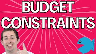 The Ultimate Guide to Budget Constraints and Budget Sets [upl. by Shu715]