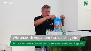 JBL TV 22 Fische richtig einsetzen transportieren und umsetzen ohne Verluste [upl. by Yellehs]