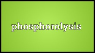 Phosphorolysis Meaning [upl. by Aramanta]