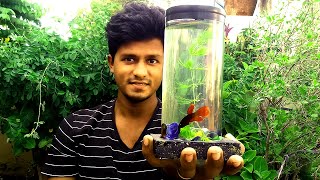 How to make Betta Fish Tank at Home  செலவே இல்லாமல் Fish Tank செய்யலாம் வாங்க  Vijay Ideas [upl. by Ellerad]