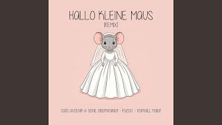 Hallo kleine Maus Remix [upl. by Schaaff824]