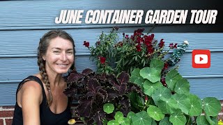 June Container Garden Tour [upl. by Bradan516]