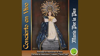 Virgencita Incomparable En vivo [upl. by Neleb]