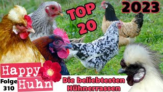 TOP 20 Die beliebtesten Hühnerrassen 2023  HAPPY HUHN E310  Barnevelder Marans Brahma Vorwerk [upl. by Ecyak]