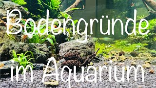 Bodengründe fürs Aquarium aquaristik [upl. by Servais22]