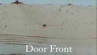 Ruger 22 Pistol vs Car door [upl. by Avalsorim]