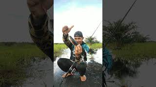 Ada strike di rawa sawitan yg lagi banjir videoshorts viralvideo castinggabusbabon fishing [upl. by Annerahs467]