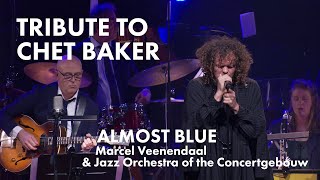 Almost Blue by Marcel Veenendaal amp Jazz Orchestra of the Concertgebouw Tribute to Chet Baker [upl. by Nahn82]