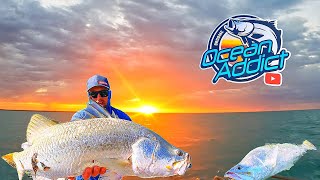 How to Catch Barramundi in Northern AustraliaClearwater Livebait Kimberley Region [upl. by Ronym]