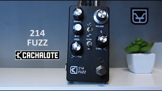 Cachalote Audio  214 FUZZ [upl. by Noreg838]