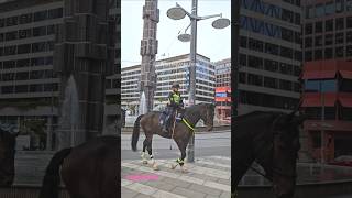 Swedish mounted police officers on horses patrolling in Stockholm [upl. by Annahsohs663]