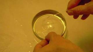 Modeling Exocytosis Using Bubbles [upl. by Atineg]