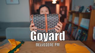 Present Reaction  Goyard Belvedere PM  sony A7C 24mm f14 고야드 크로스백 shorts [upl. by Valtin149]