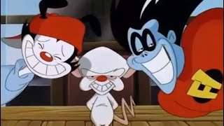 Freakazoid Wakko and the Brain argue [upl. by Adieno]