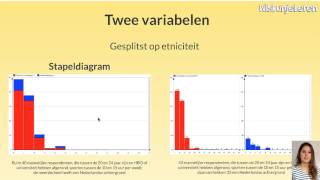 Statistiek Diagrammen kwantitatief  Wiskunjeleren [upl. by Kelli]