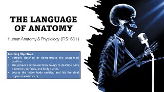 LESSON 3  THE LANGUAGE OF ANATOMY anatomical positionregional amp directional terms  FIS1601 [upl. by Holly-Anne]