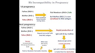 RH Incompatibility II Molar Pregnancy II DN Bhatta [upl. by Fredella]