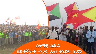 TMH  ሰላማዊ ሰልፊ ስደተኛታት ተጋሩ ኣብ ተነድባ ሱዳን [upl. by Tram]