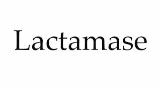 How to Pronounce Lactamase [upl. by Powel]