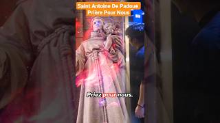 Saint Antoine De Padoue Prière Pour Nous🙏❤️✝️ shorts prière saintantony SaintAntoine Padoue [upl. by Eugeniusz307]